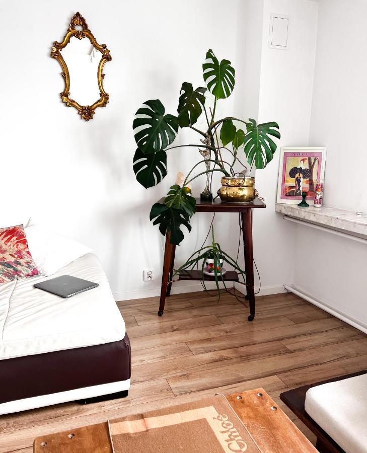 Apartament Exclusive Design Loft 60m2 Whole In The Center Of Cracow With A View! Kraków