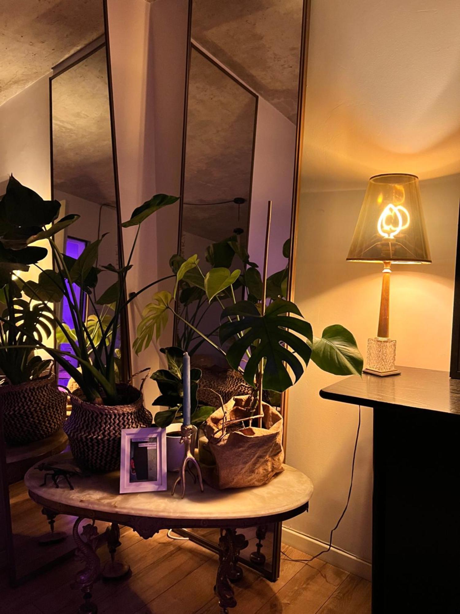 Exclusive Design Loft 60m2 Whole In The Center Of Cracow With A View! Apartment Krakau