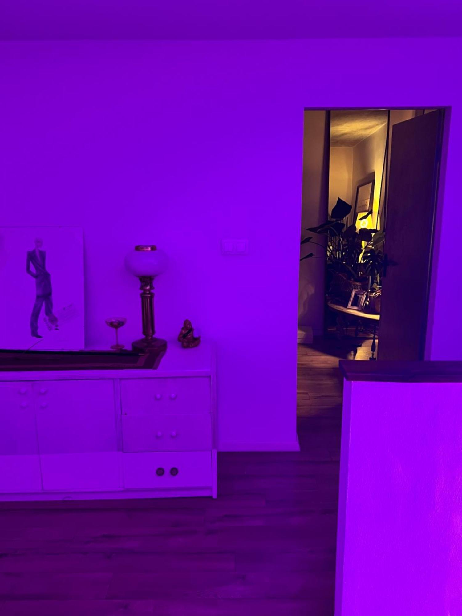 Exclusive Design Loft 60m2 Whole In The Center Of Cracow With A View! * Krakau