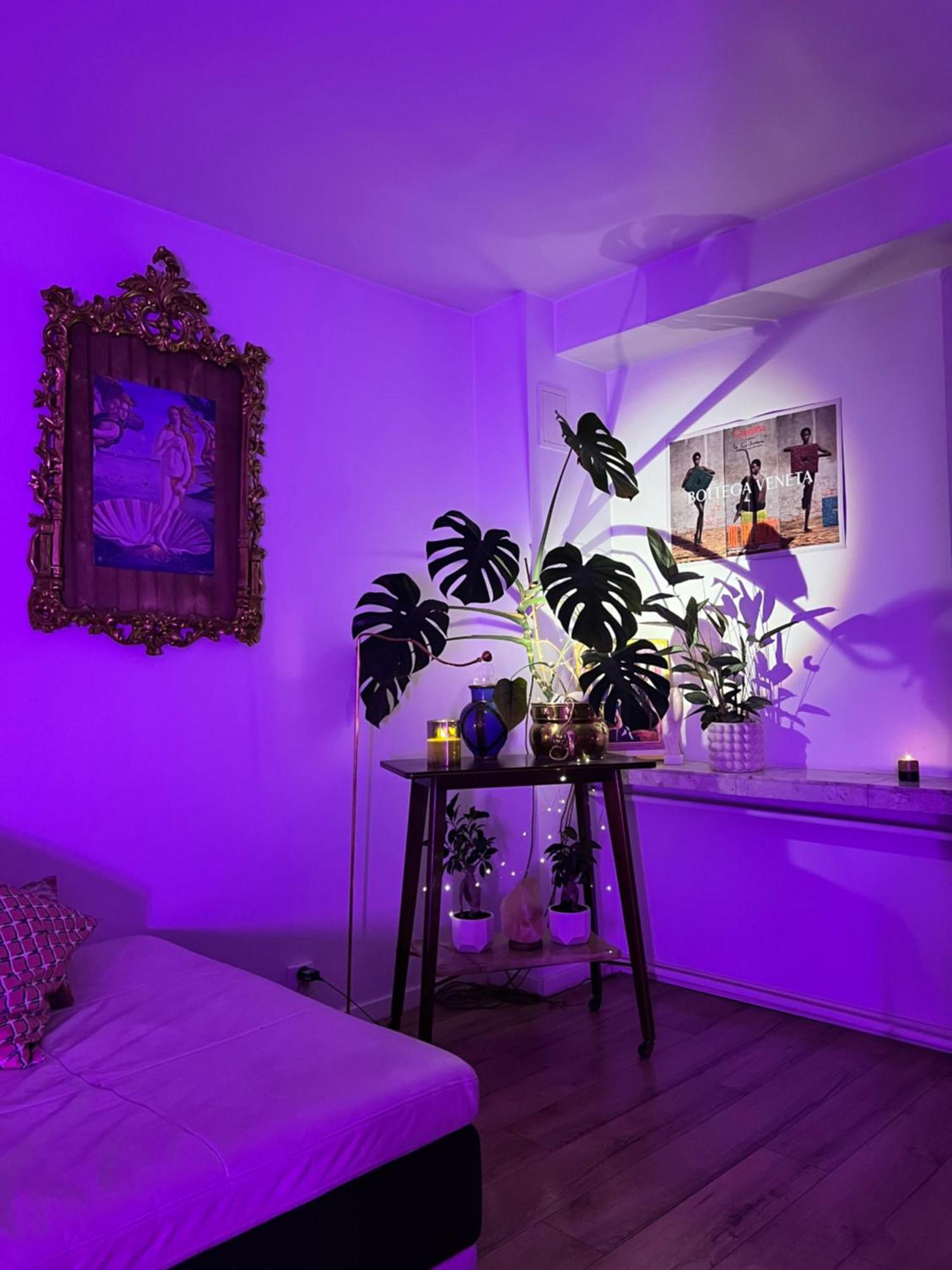 Exclusive Design Loft 60m2 Whole In The Center Of Cracow With A View!